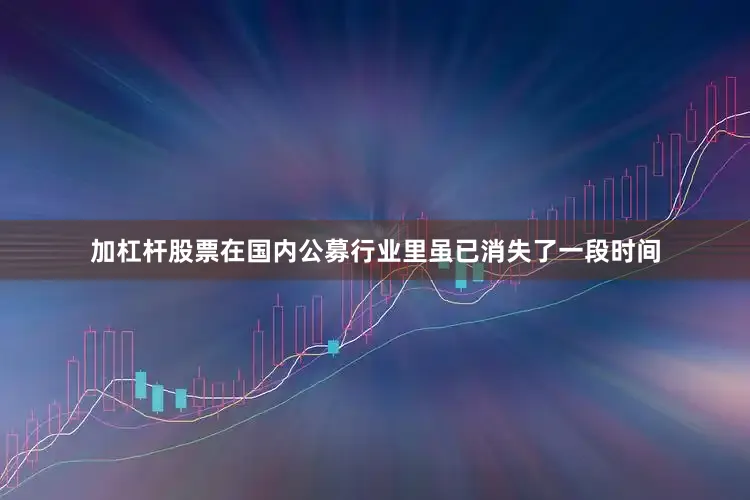 加杠杆股票在国内公募行业里虽已消失了一段时间