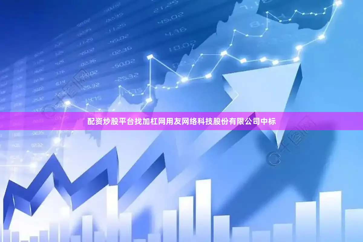 配资炒股平台找加杠网用友网络科技股份有限公司中标