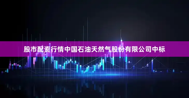 股市配资行情中国石油天然气股份有限公司中标