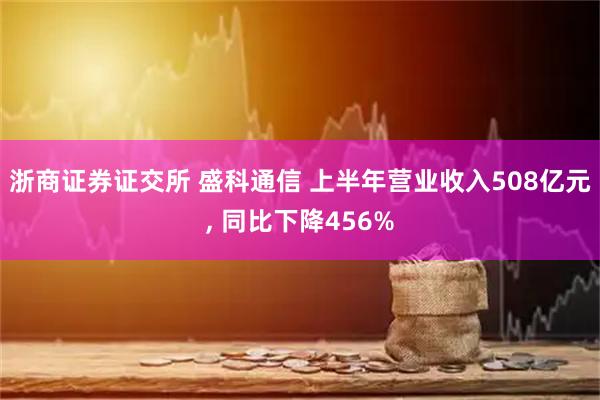 浙商证券证交所 盛科通信 上半年营业收入508亿元, 同比下降456%