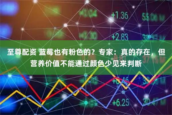 至尊配资 蓝莓也有粉色的？专家：真的存在，但营养价值不能通过颜色少见来判断
