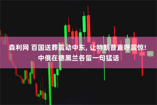 森利网 百国送葬震动中东, 让特朗普直呼震惊! 中俄在德黑兰各留一句猛话